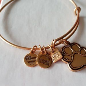 alex and ani paw bracelet